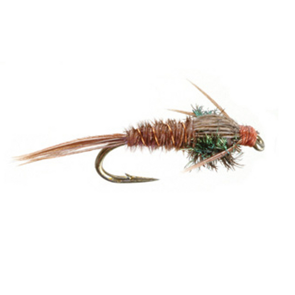 Pheasant Tail Nymph