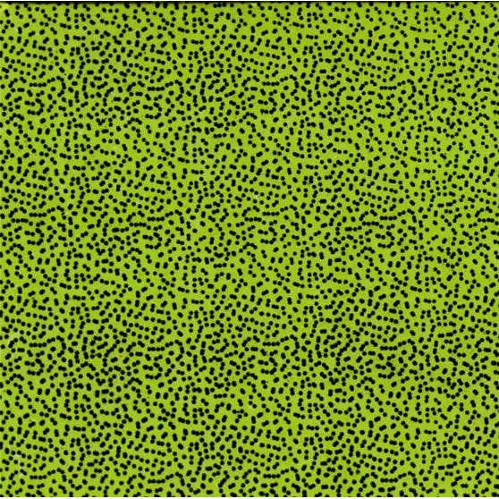 Thin Skin Fly Specks