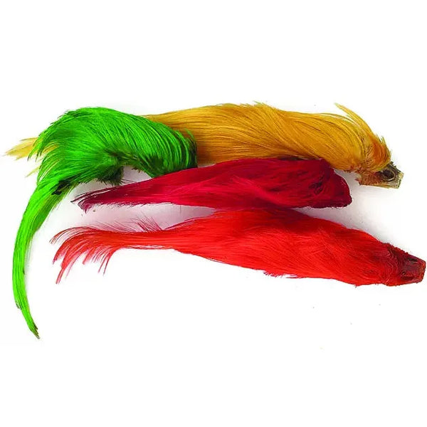 Golden Pheasant Crest