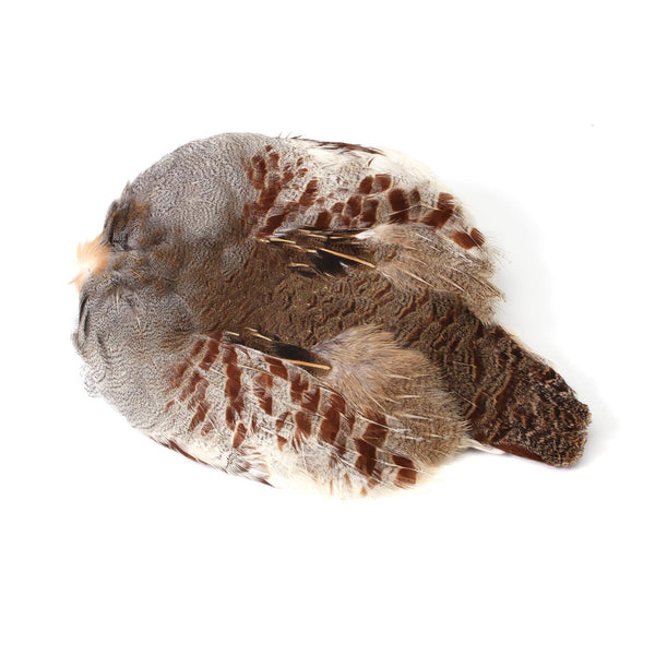 Hungarian Partridge Skin