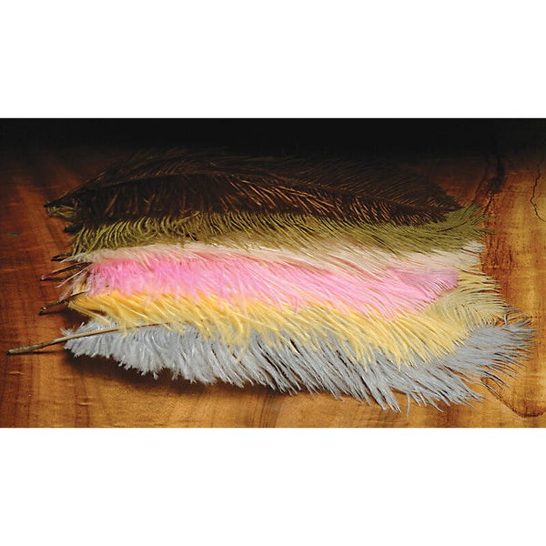 Ostrich Herl