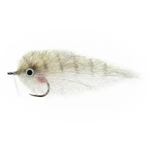 Enrico Puglisi Pinfish