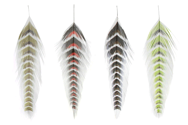 MFC Fish Feathers - Grizzled - Fly Fishing Specialties