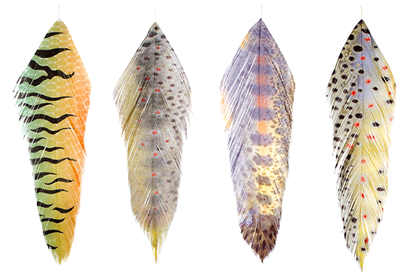 MFC Fish Feathers - Fly Fishing Specialties