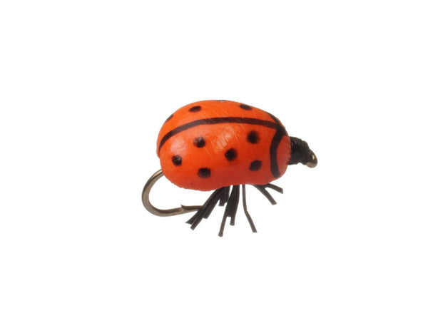 Lady Bug