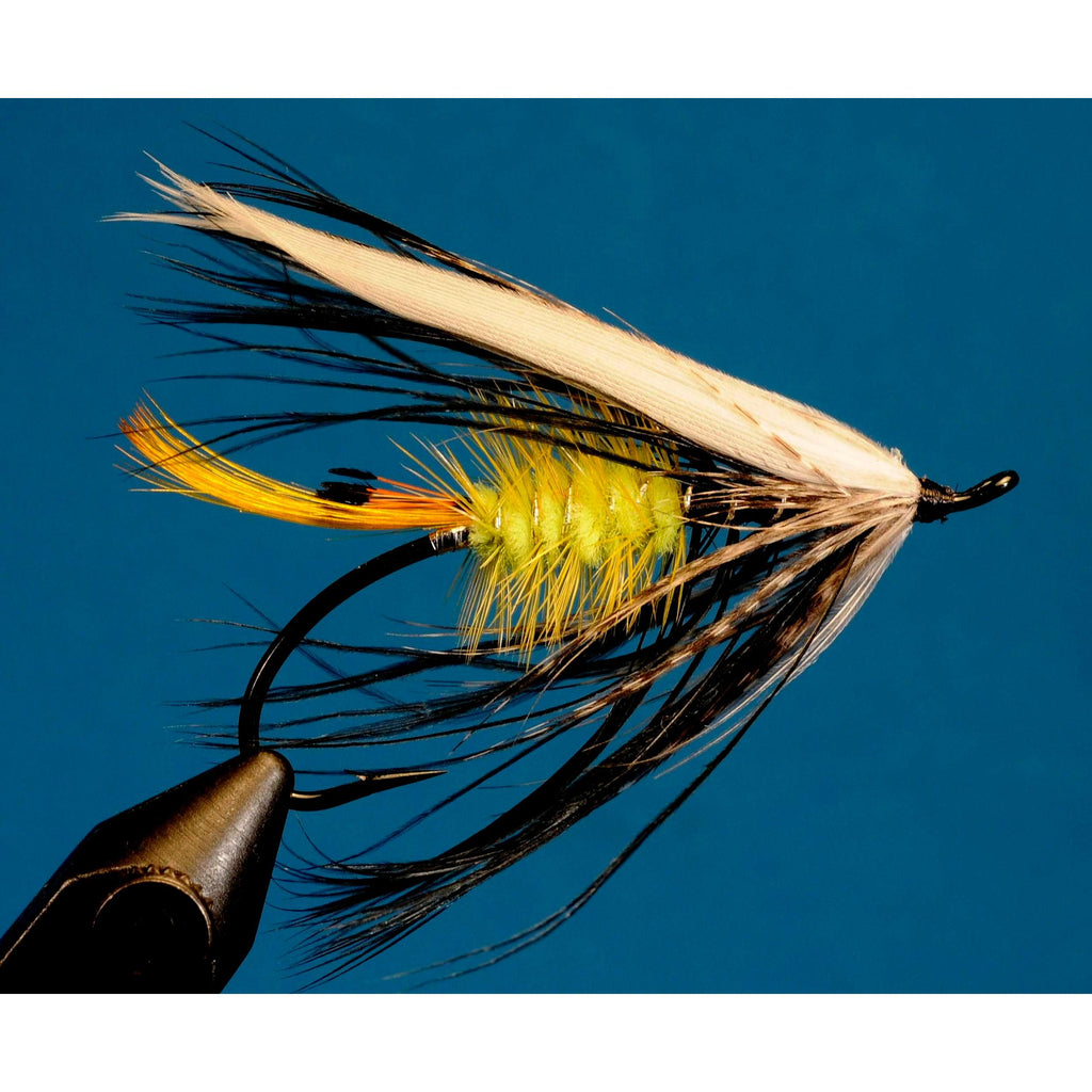 Dr Tucker's Steelhead