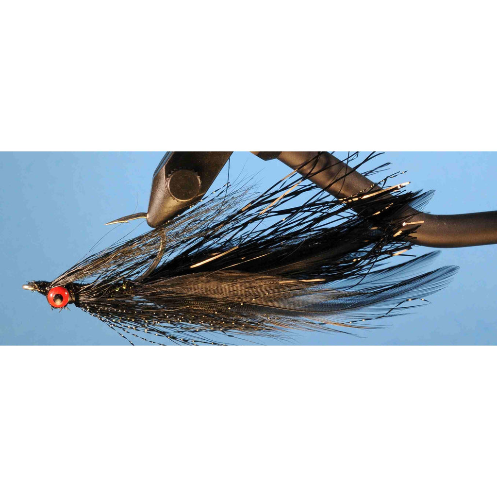Flashtail Minnow