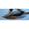 Flashtail Minnow