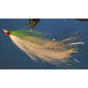 Flashtail Minnow