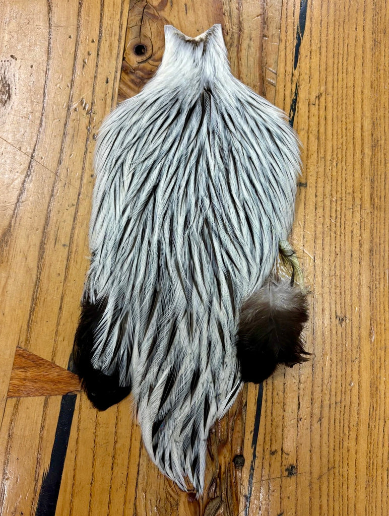 American Rooster Cape