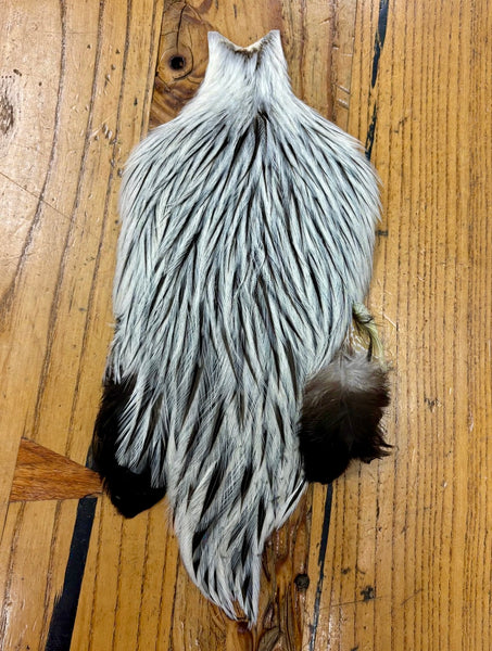 American Rooster Cape
