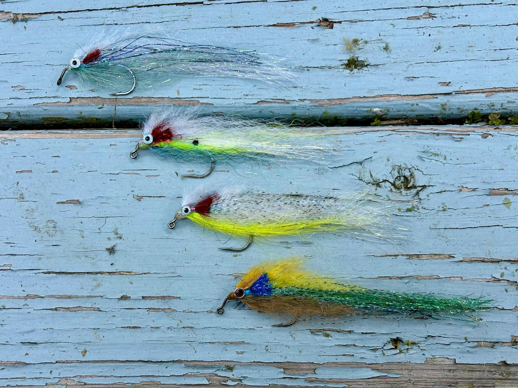 Angel's Baitfish