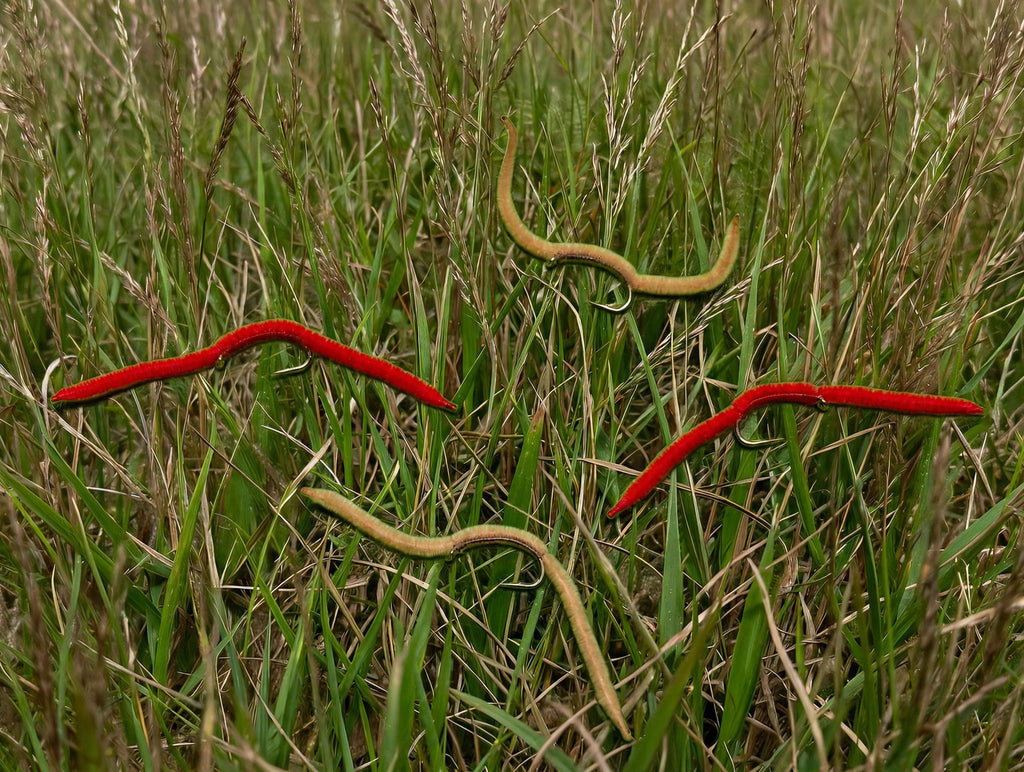 San Juan Worm