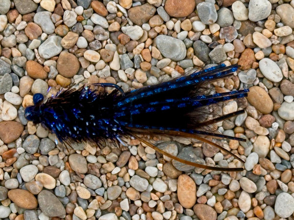 Pultz F&F UV Leech