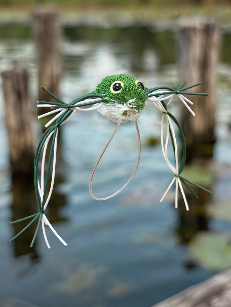 Henle's Frog