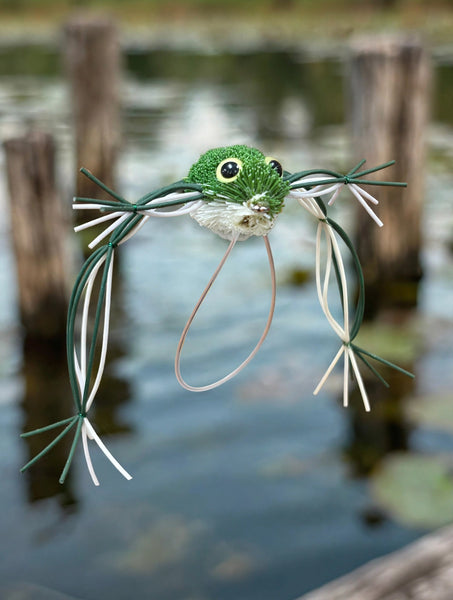 Henle's Frog