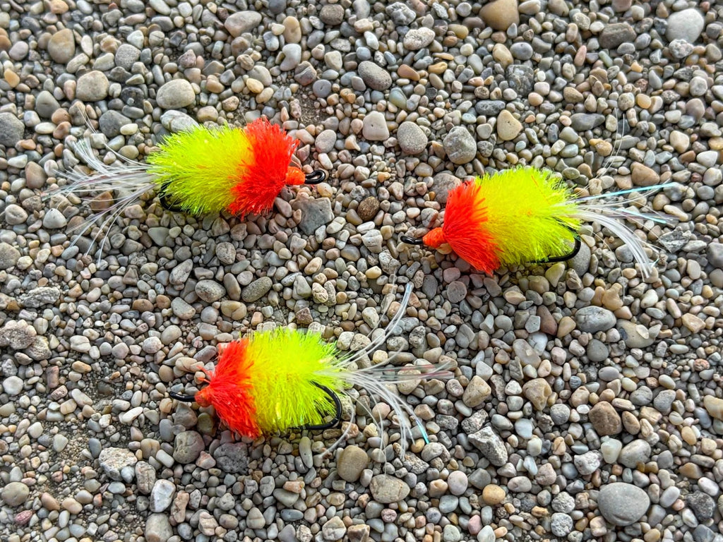 Coho Spanker