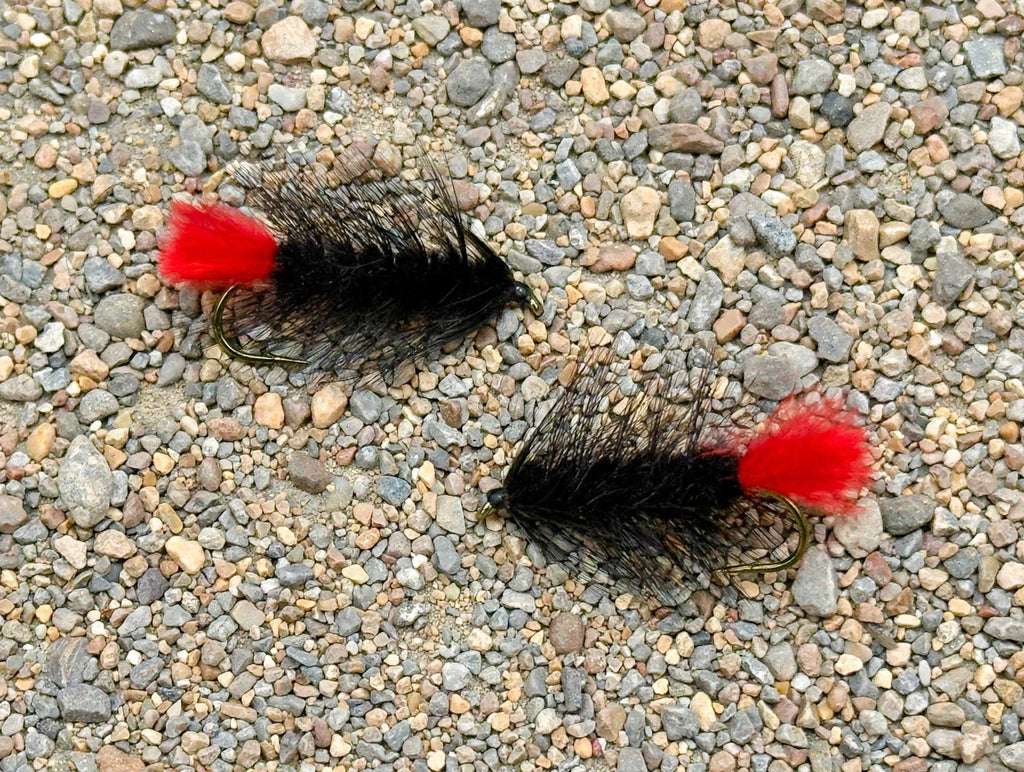 Pyramid Lake Woolly Worm
