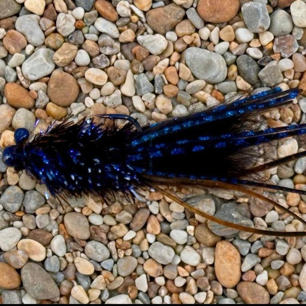 Pultz F&F UV Leech