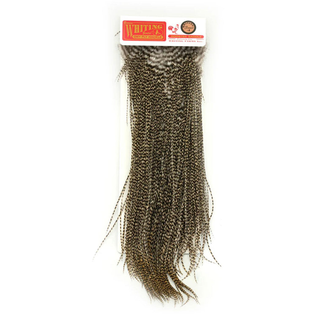Whiting Saddle Bronze