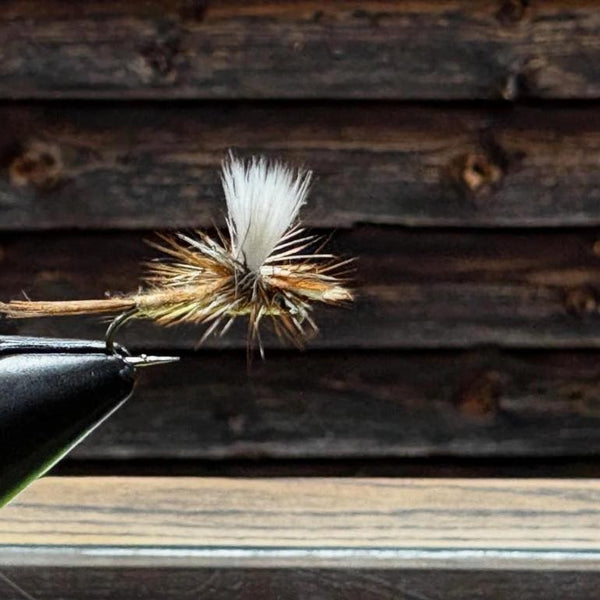 Parachute March Brown