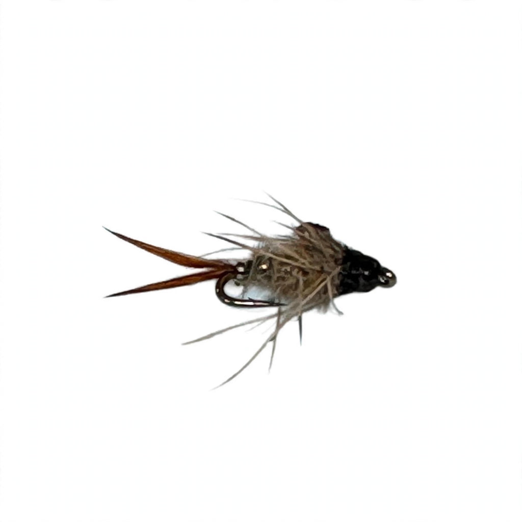 Black Beadhead Poxyback Hare's Ear