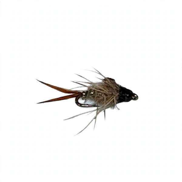 Black Beadhead Poxyback Hare's Ear