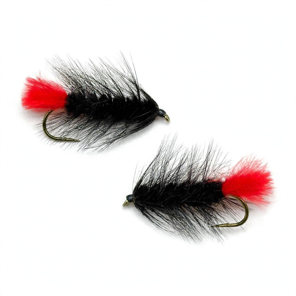 Pyramid Lake Woolly Worm