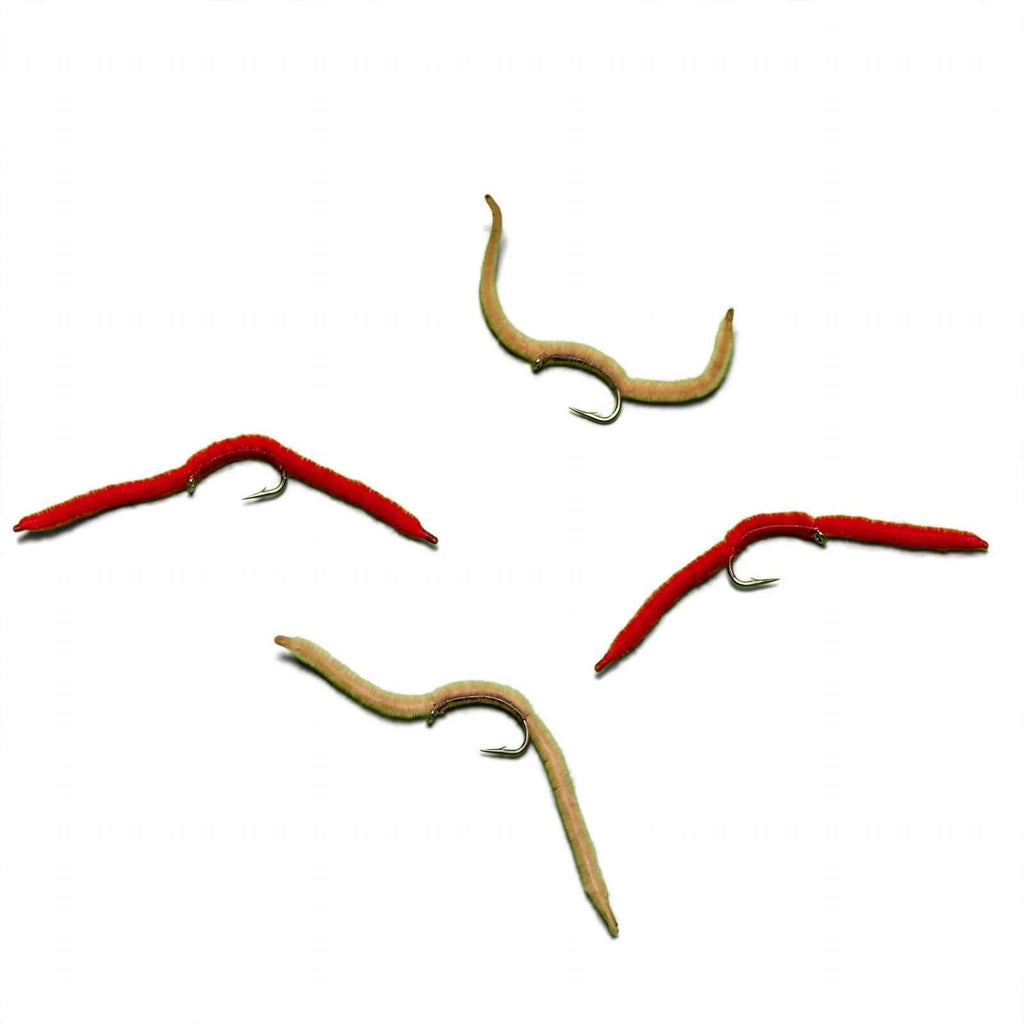 San Juan Worm
