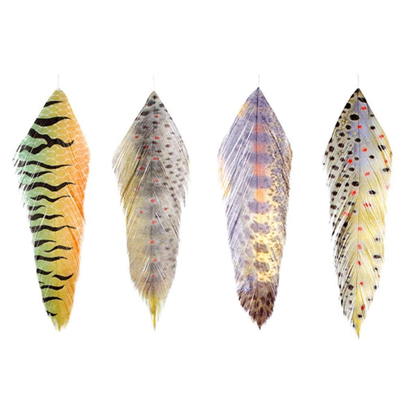 MFC Fish Feathers