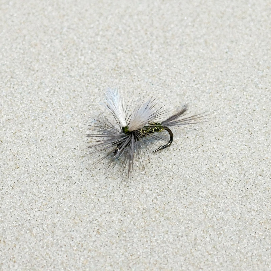 Splitwing BWO