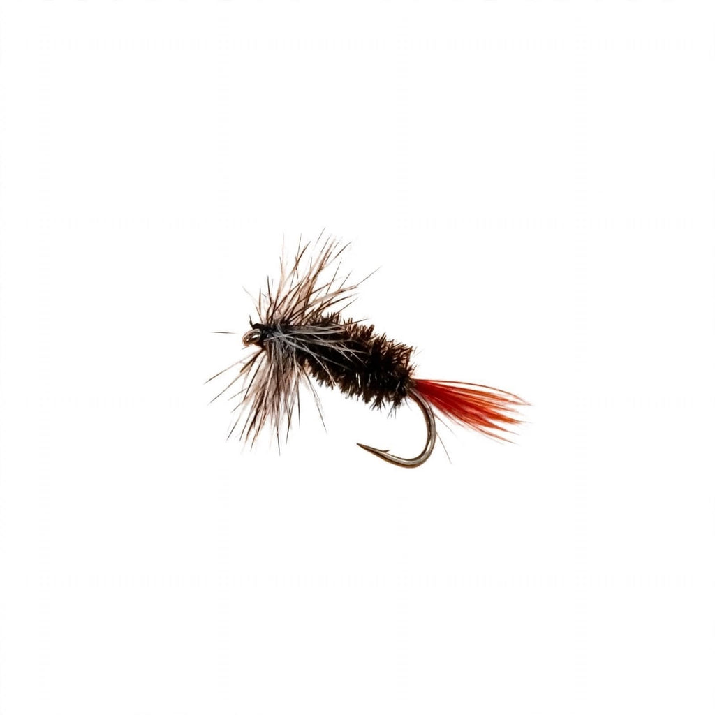 Buzz Hackle