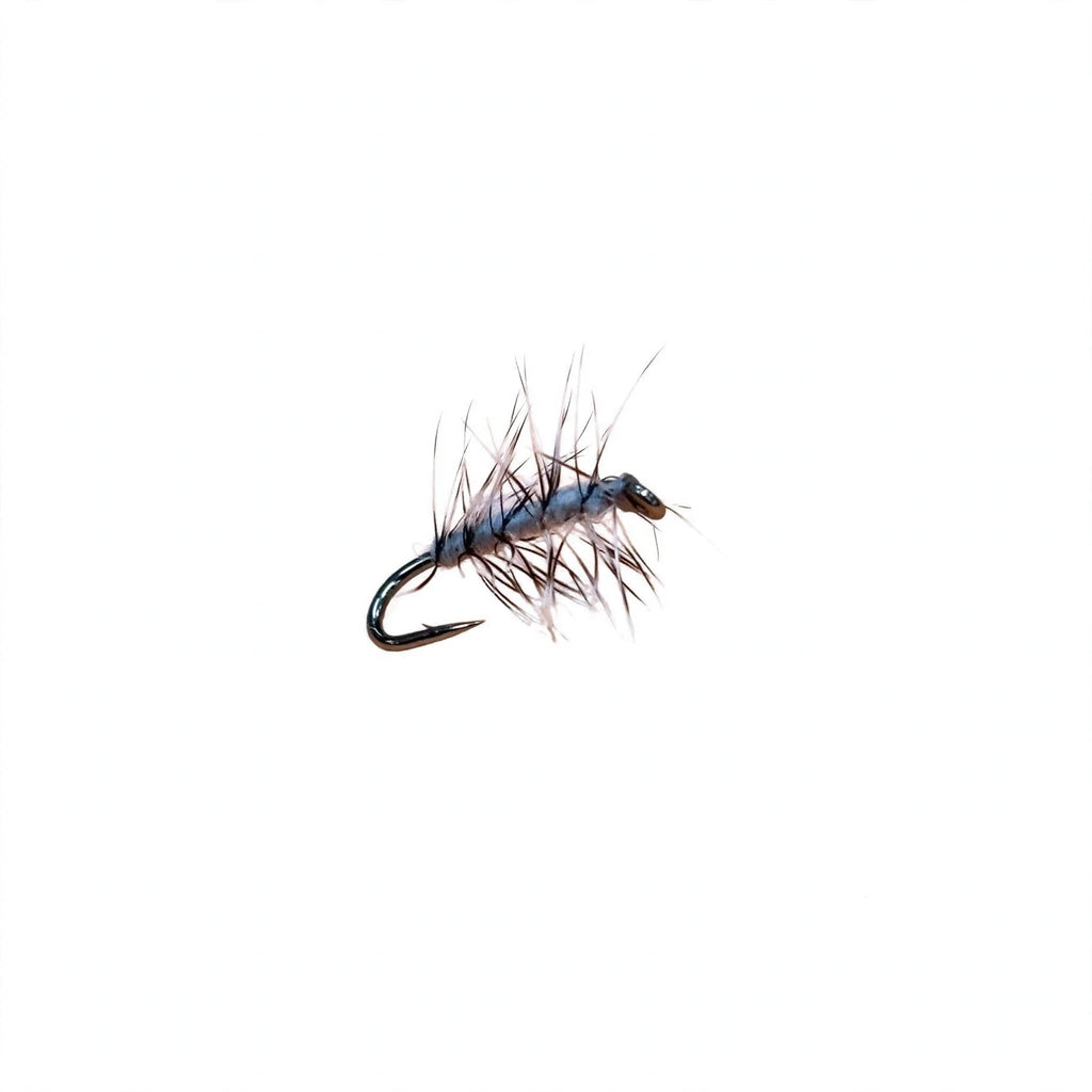 Speroni Blonde Midge