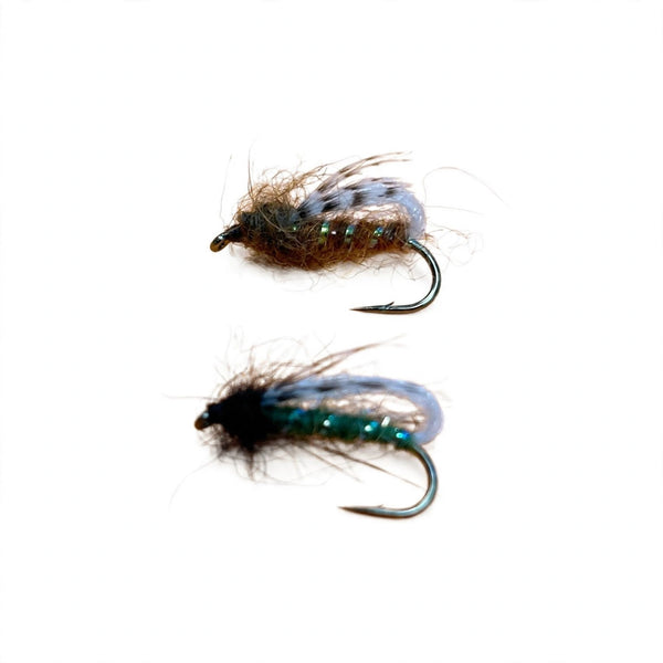 Speroni’s Bubble Back Caddis