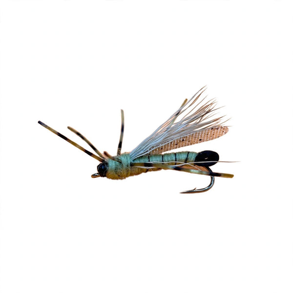Speroni Skwala Dry