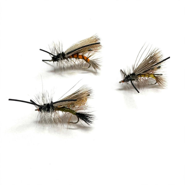 Seducer Stonefly
