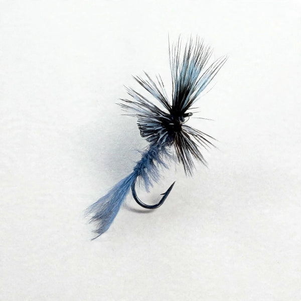 Byng's Marabou Cripple