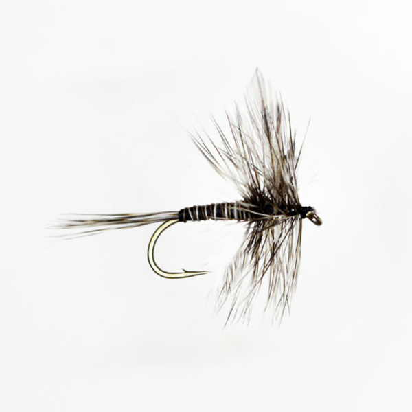 Mosquito