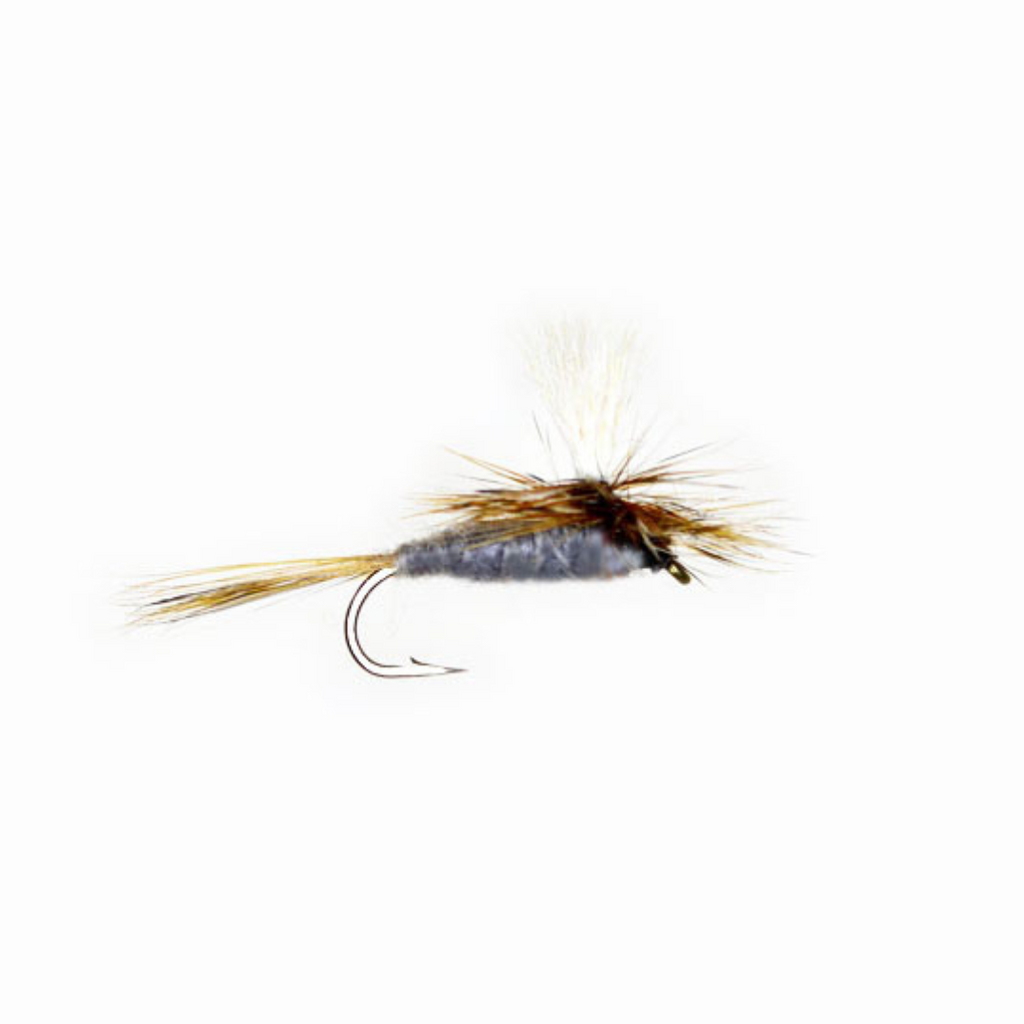Parachute Adams