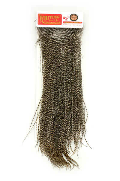 Whiting Saddle Bronze
