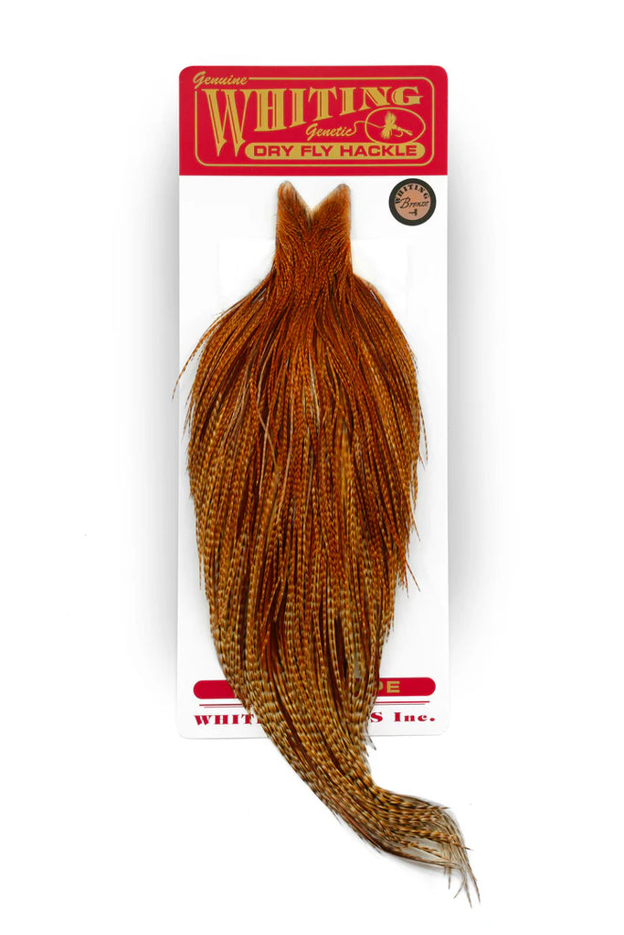Whiting Bronze Cape
