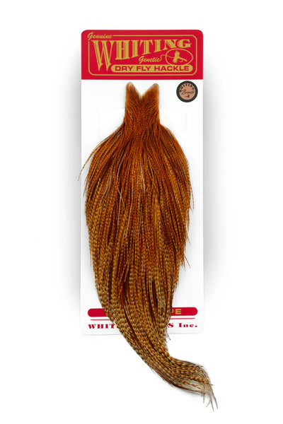 Whiting Bronze Cape