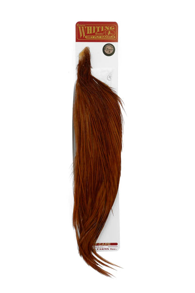 Whiting 1/2 Bronze Cape