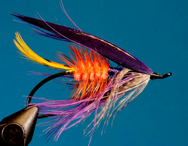 Dt Purple Akroyd