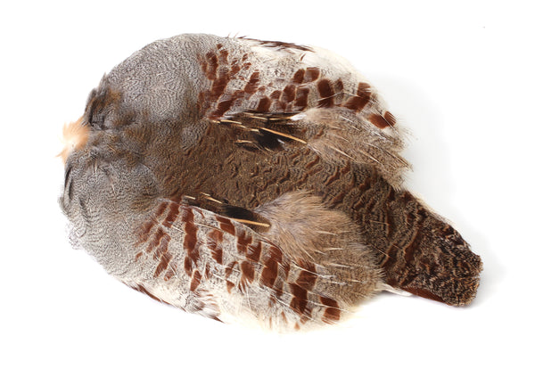 Natural Hungarian Partridge Skins