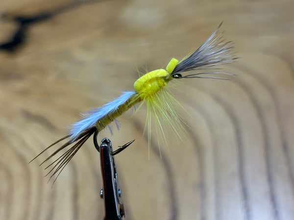 Lance's Almanor Hex Cripple