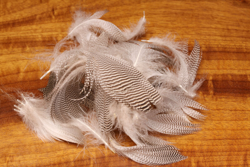 Pintail Flank Feathers