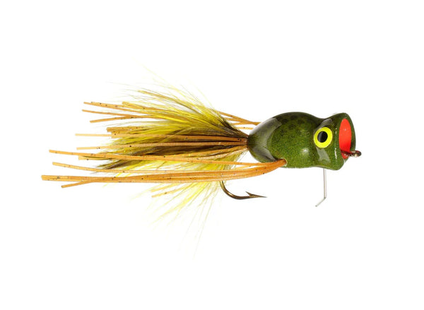 Rainys Rattlin' Frog